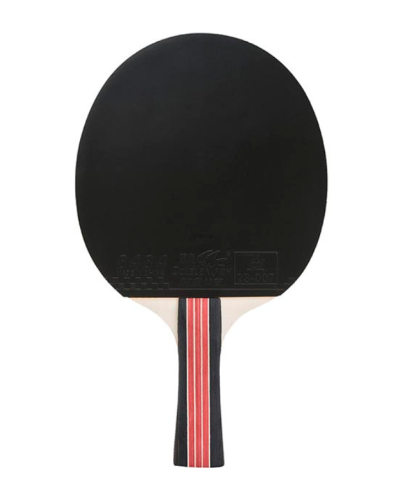Paletka rakieta do ping pong tenis stołowy Double Fish DF-02