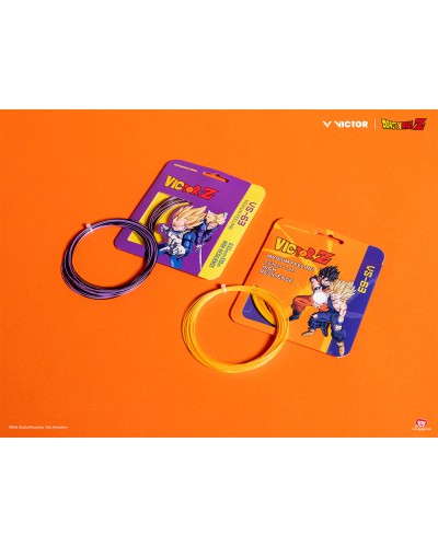 VS63DBZ CJ - Limited!